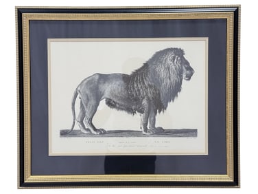Quality Framed "Lion" Print by Chelsea House