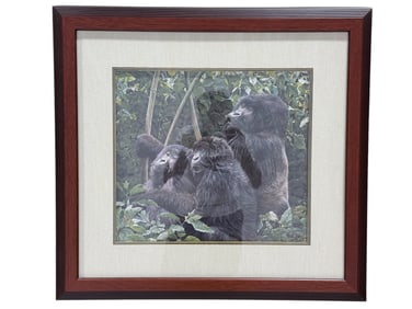 Framed "Gorillas" Limited Edition Print by Simon Combes