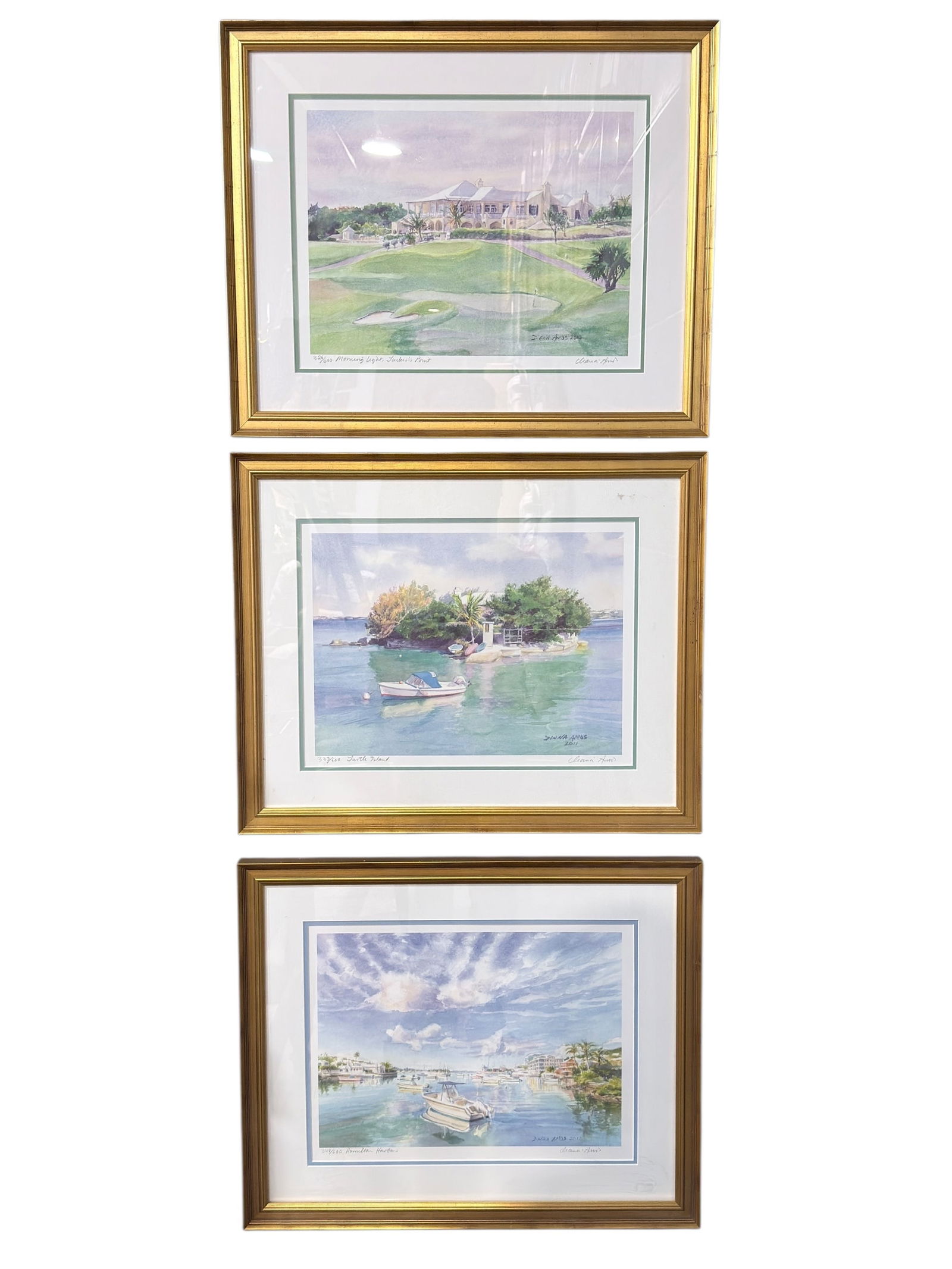 Group of 3 Signed Dianna Amos Lithographs (1 of 15)