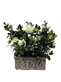 Allstate Floral "Gardenia" in Stone Pot