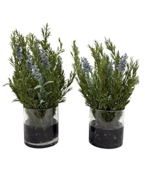 (2) Allstate Floral "Lavender & Rosemary" in Glass Cylinder