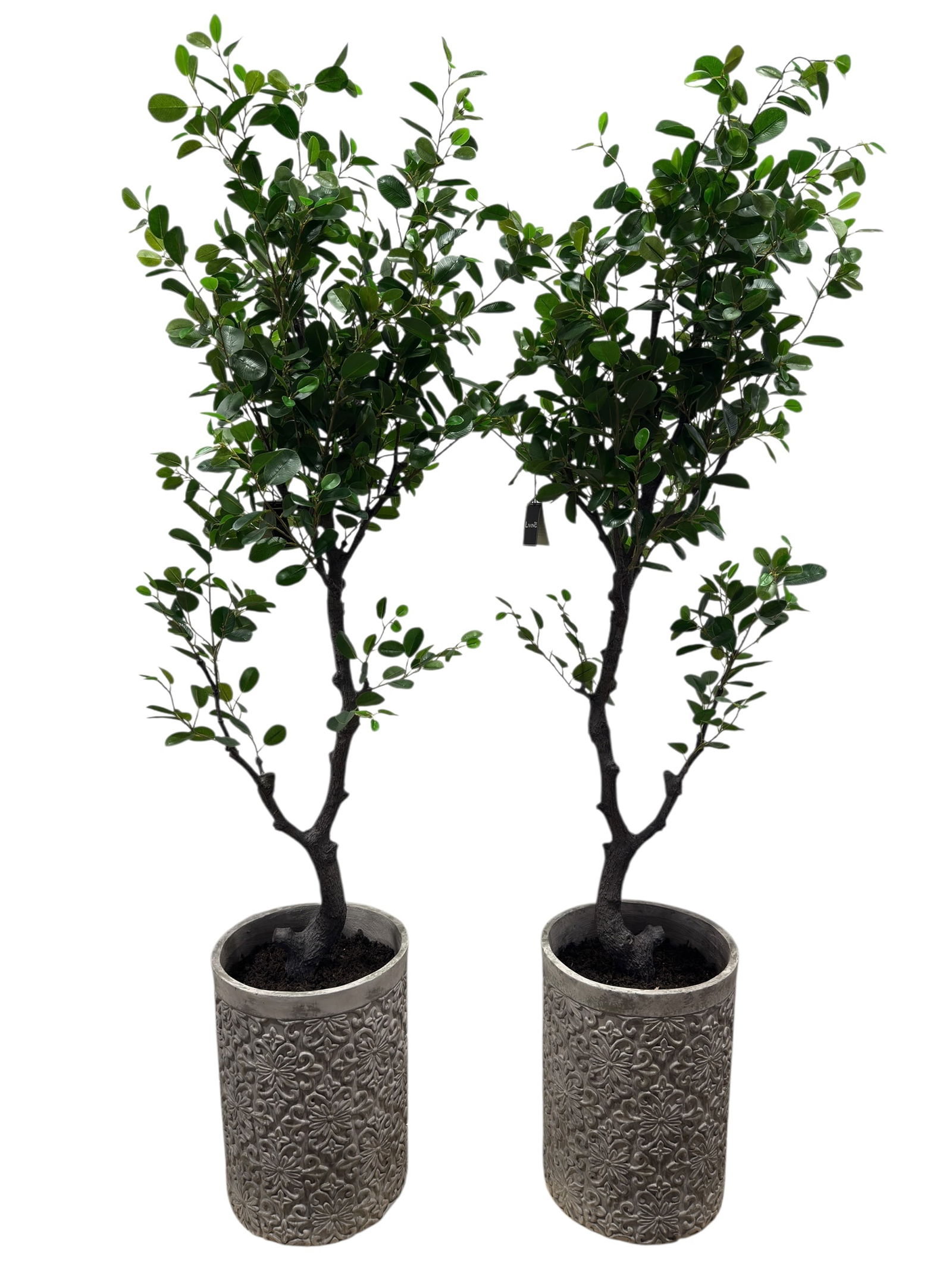 (2) Allstate Floral EVA Ficus Mistletoe Artificial Tree w/ Pot (1 of 9)