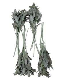 Park Hill Faux Dusty Miller Stems (24)