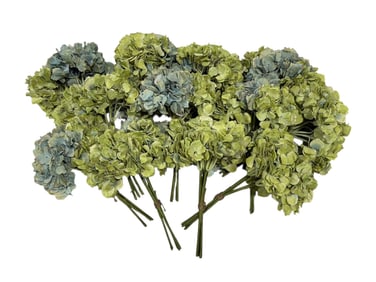 (12) Park Hill Hydrangea Bundles