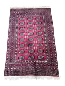 Hand Knotted Pakistani Buchara Rug