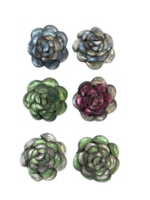 Group of 6 Victorian Flower Pins & Buckles