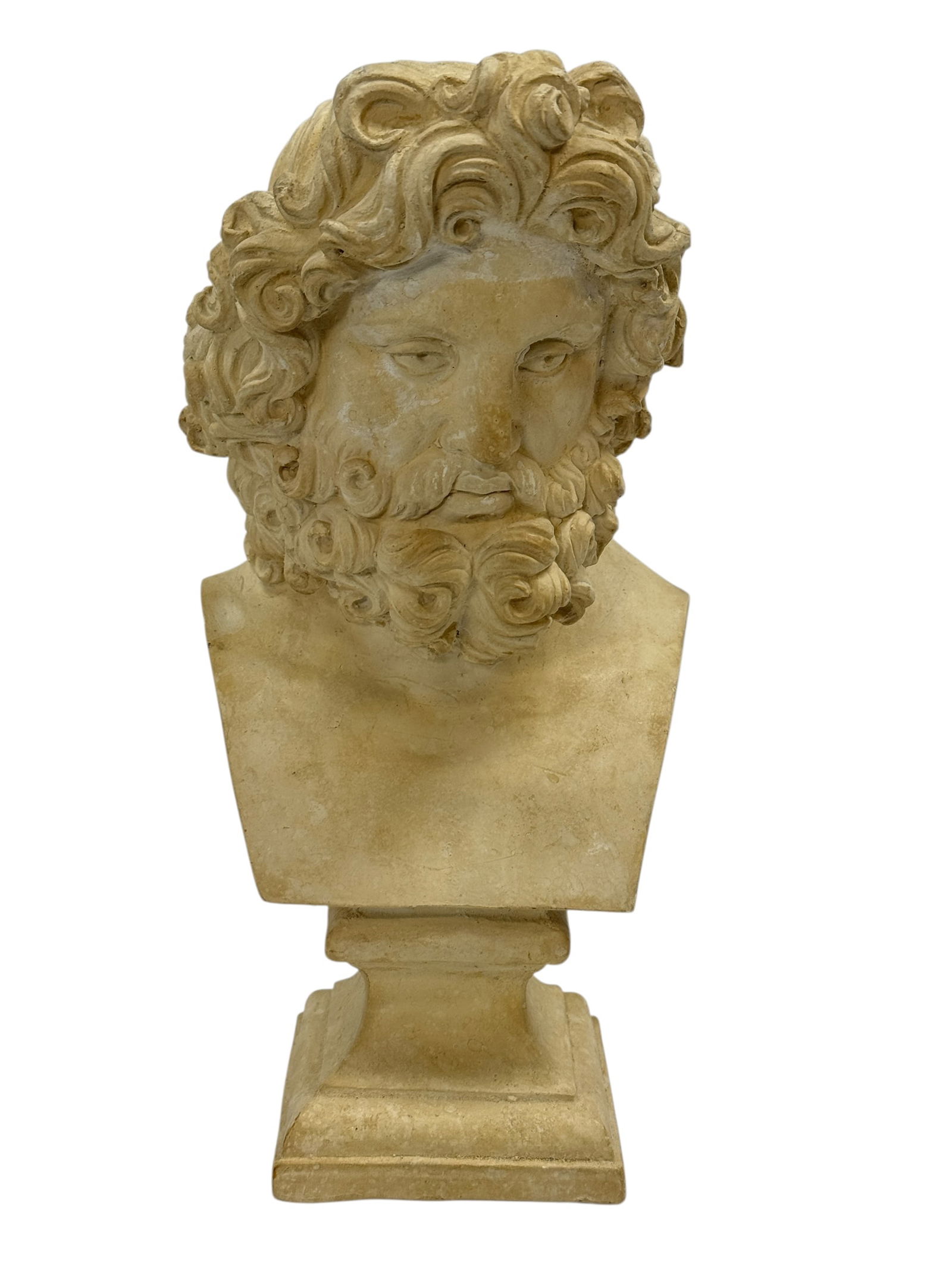 Early Grand Tour Plaster Bust of a Bearded Classical Male Figure (1 of 8)