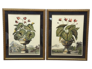Pair of Large Classical Floral Urn Prints in Gilt Frames