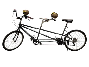 Raleigh “Captain & Stoker" Tandem Bicycle with Accessories