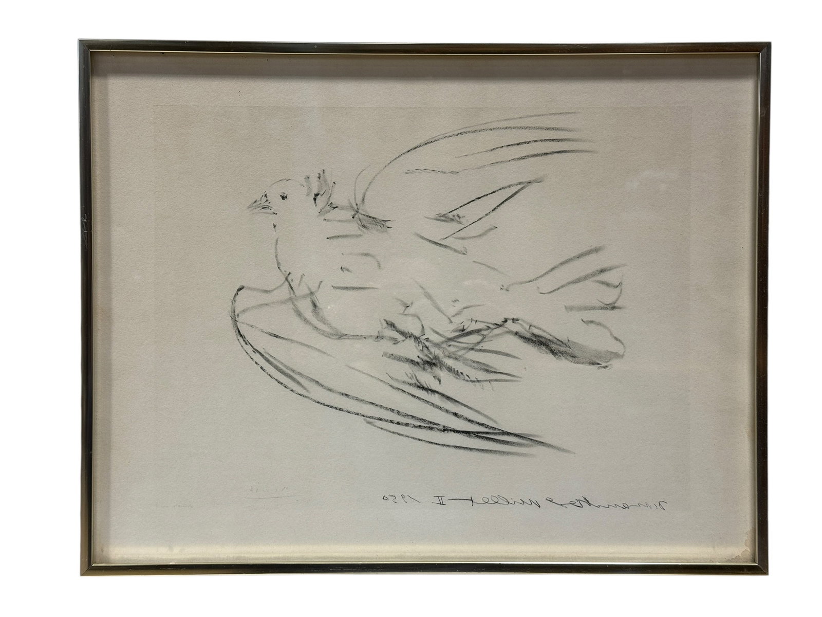 Signed Picasso "Dove in Flight" Lithograph: Signed Picasso "Dove in Flight" Lithograph. Pablo Picasso (1881-1973). Lithograph, conceived in 1950, on Rives, bearing a very faint 'Picasso' signature and inscribed 'Epreuve d'artiste' in reverse. F