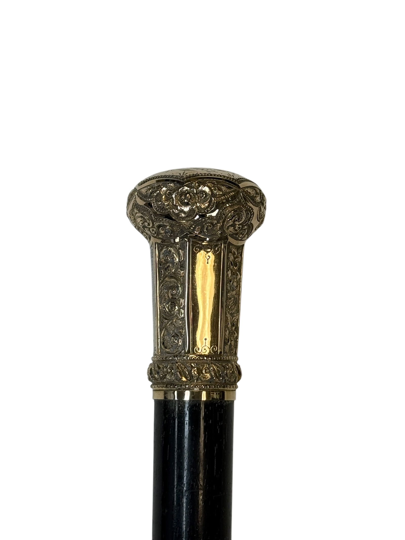 1887 R.F.S. & Co. Gold Presentation Dress Cane (1 of 5)
