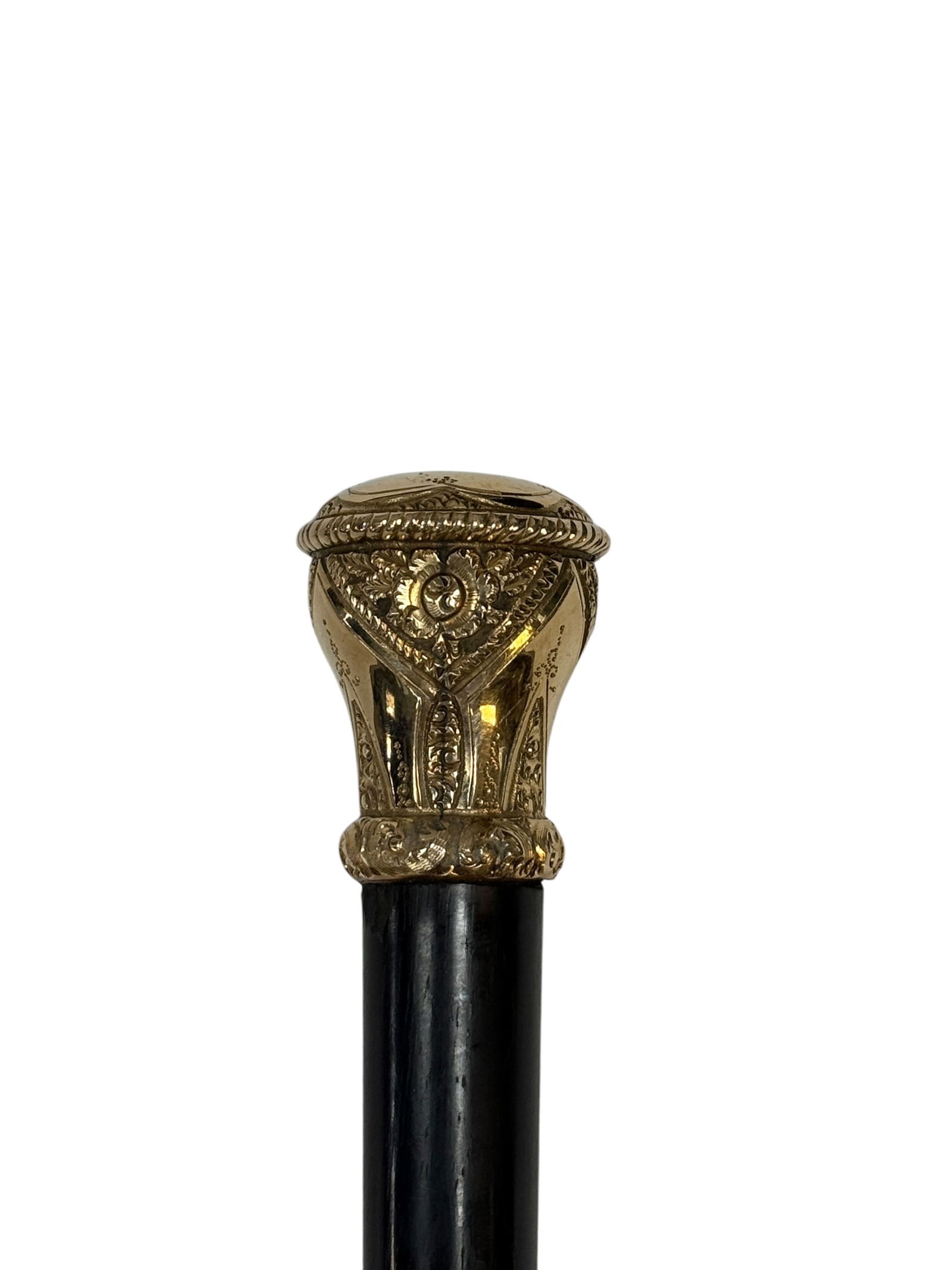 1893 Gold Presentation Dress Cane (1 of 5)