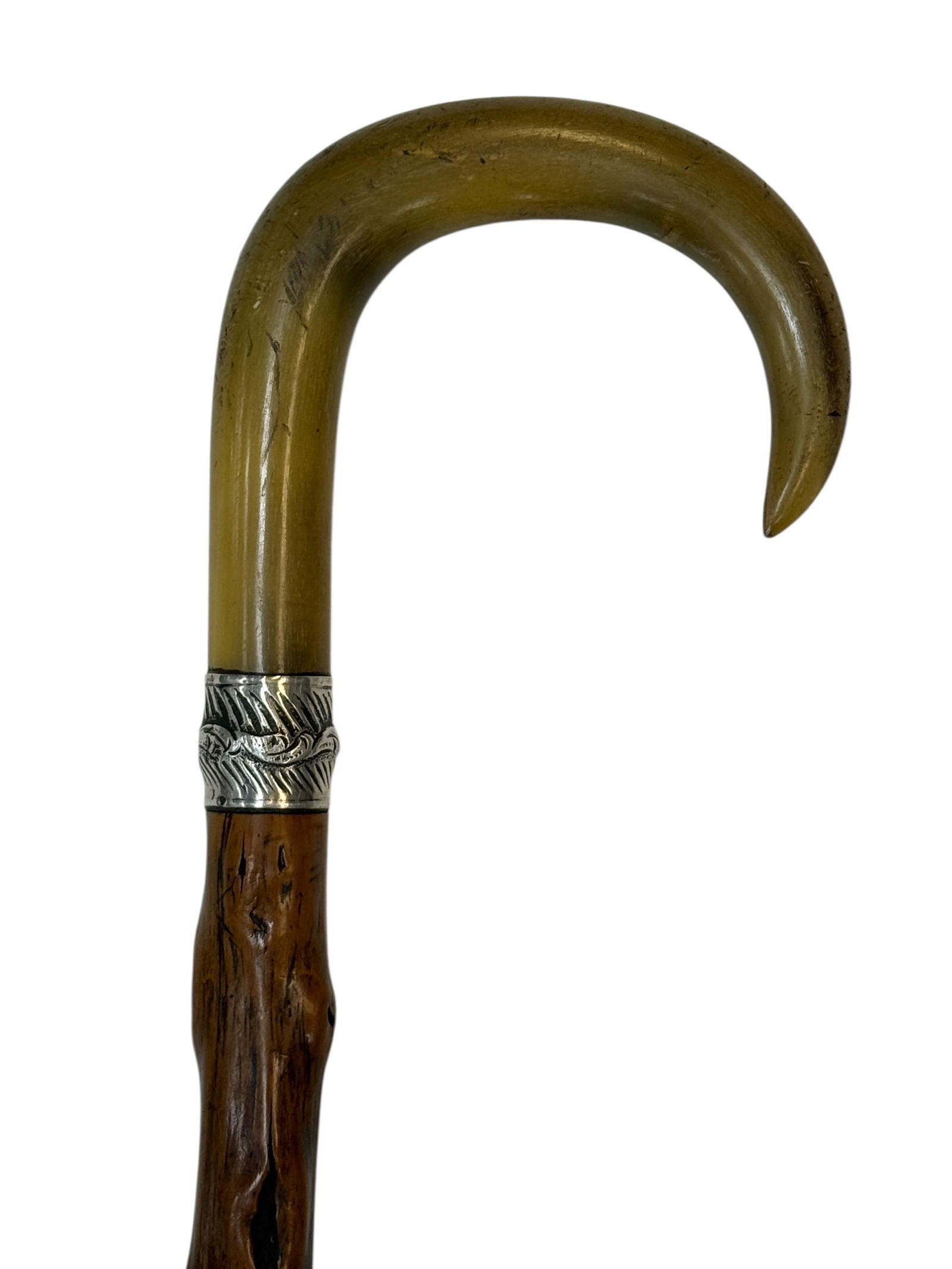 Cattle Horn Handle Cane w/ Decorative Silver Band (1 of 7)