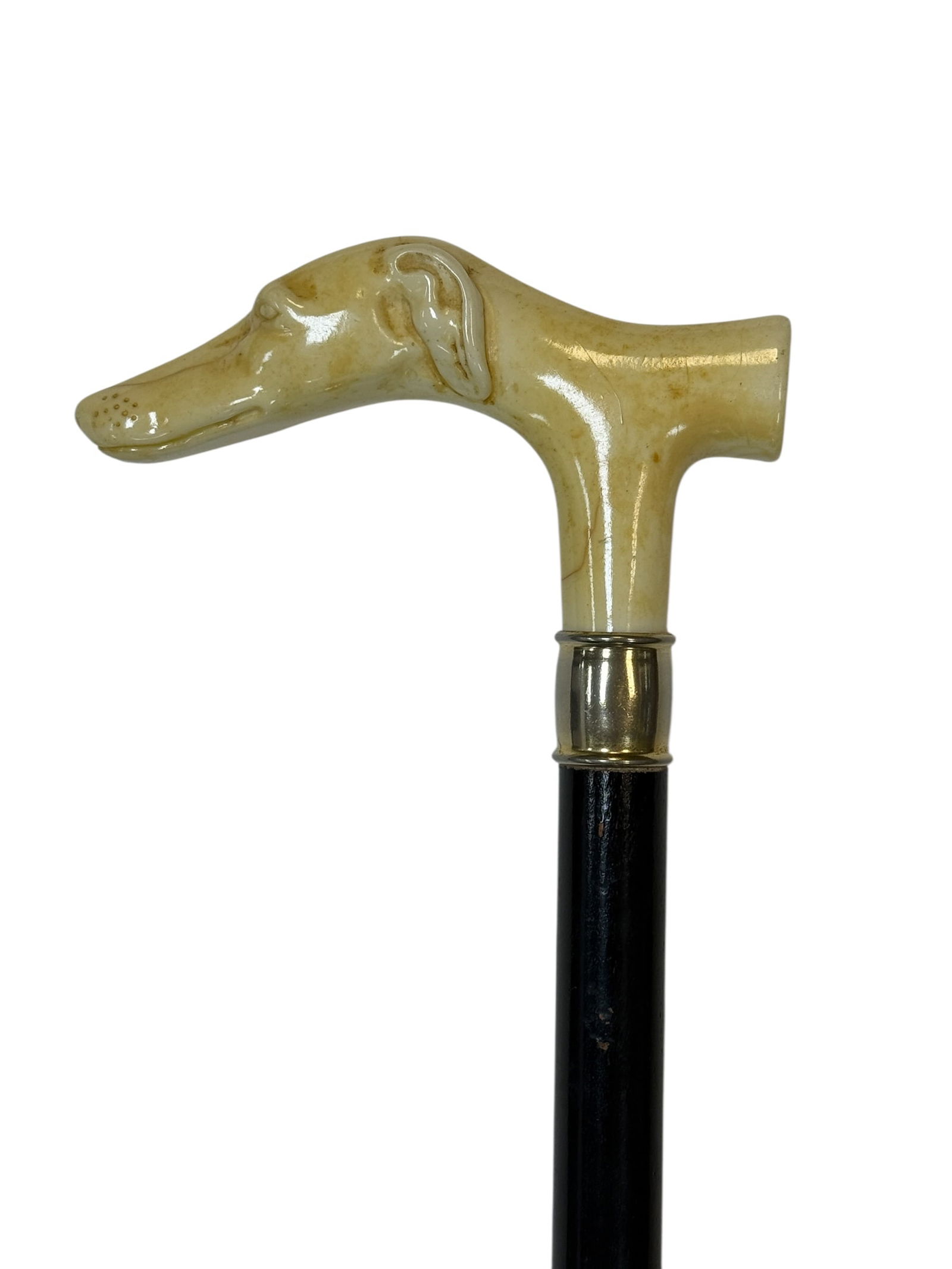 Antique Bone Greyhound Handle Cane with Ebonized Shaft (1 of 7)