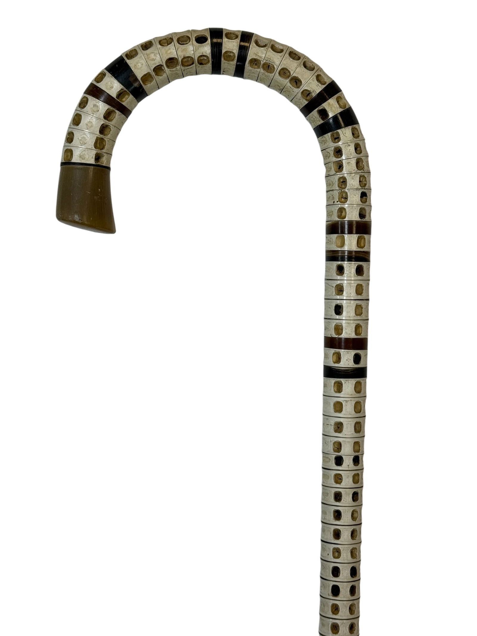 19th Century Shark Vertebrae Cane (1 of 6)