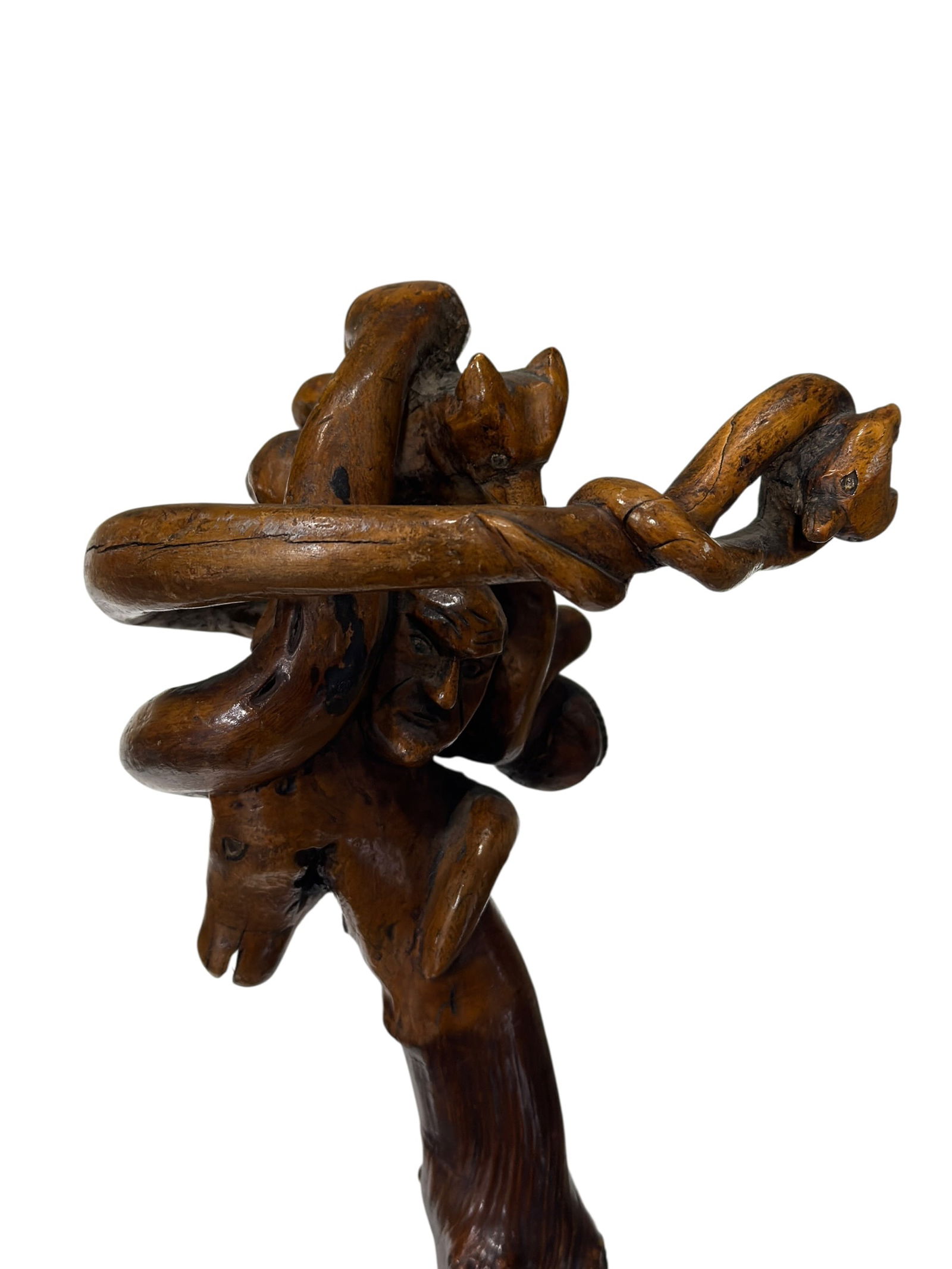 Carved Folk Art Carved Animals & Man Head Walking Stick (1 of 9)