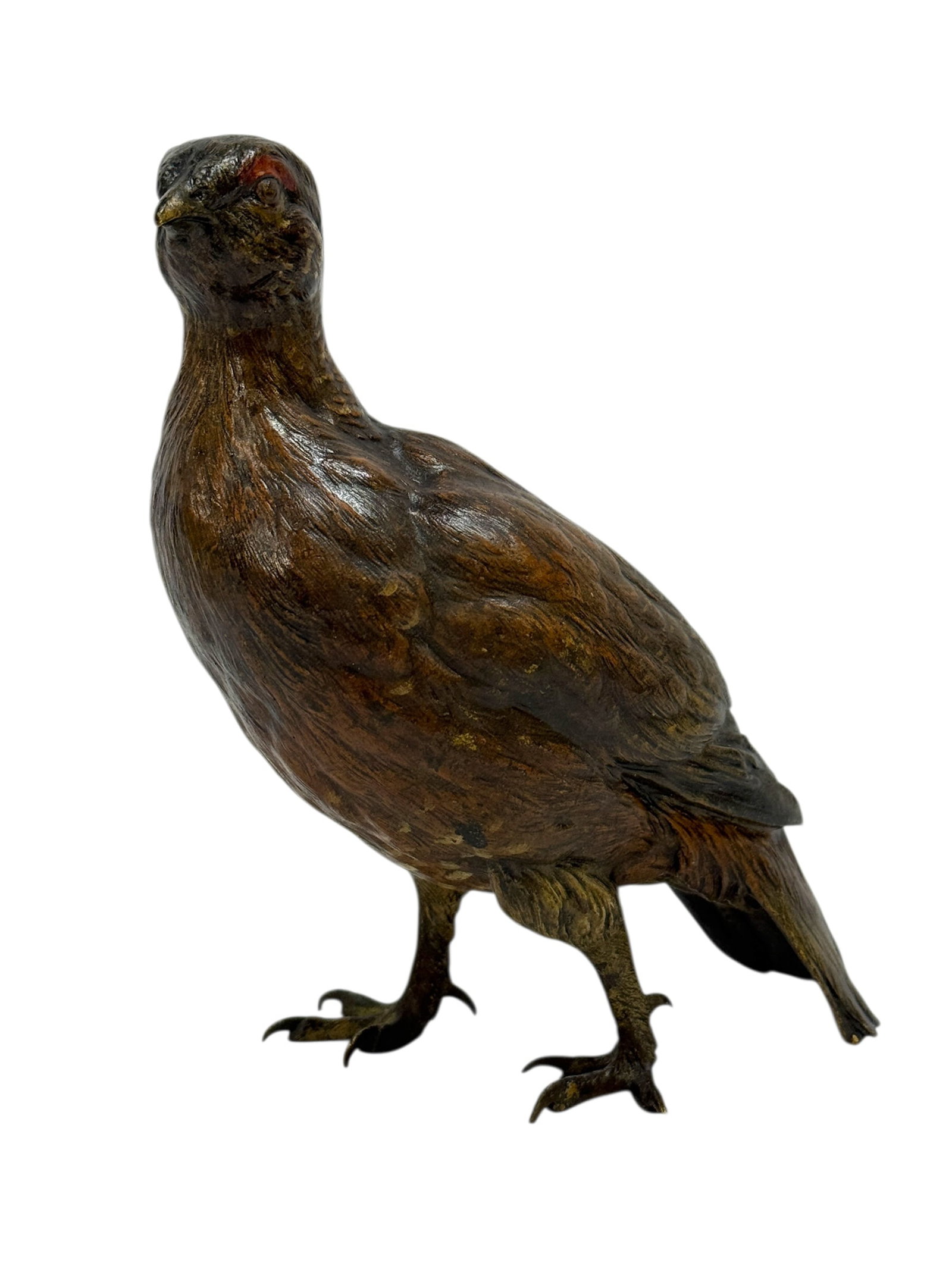 Circa 1900 Franz Bergman Austrian Vienna Cold Painted Bronze "Red Grouse": Finely cast and richly detailed circa 1900 Austrian Vienna cold painted bronze sculpture of a red grouse, attributed to Franz Bergman, modeled in a naturalistic standing pose with alert posture and ca