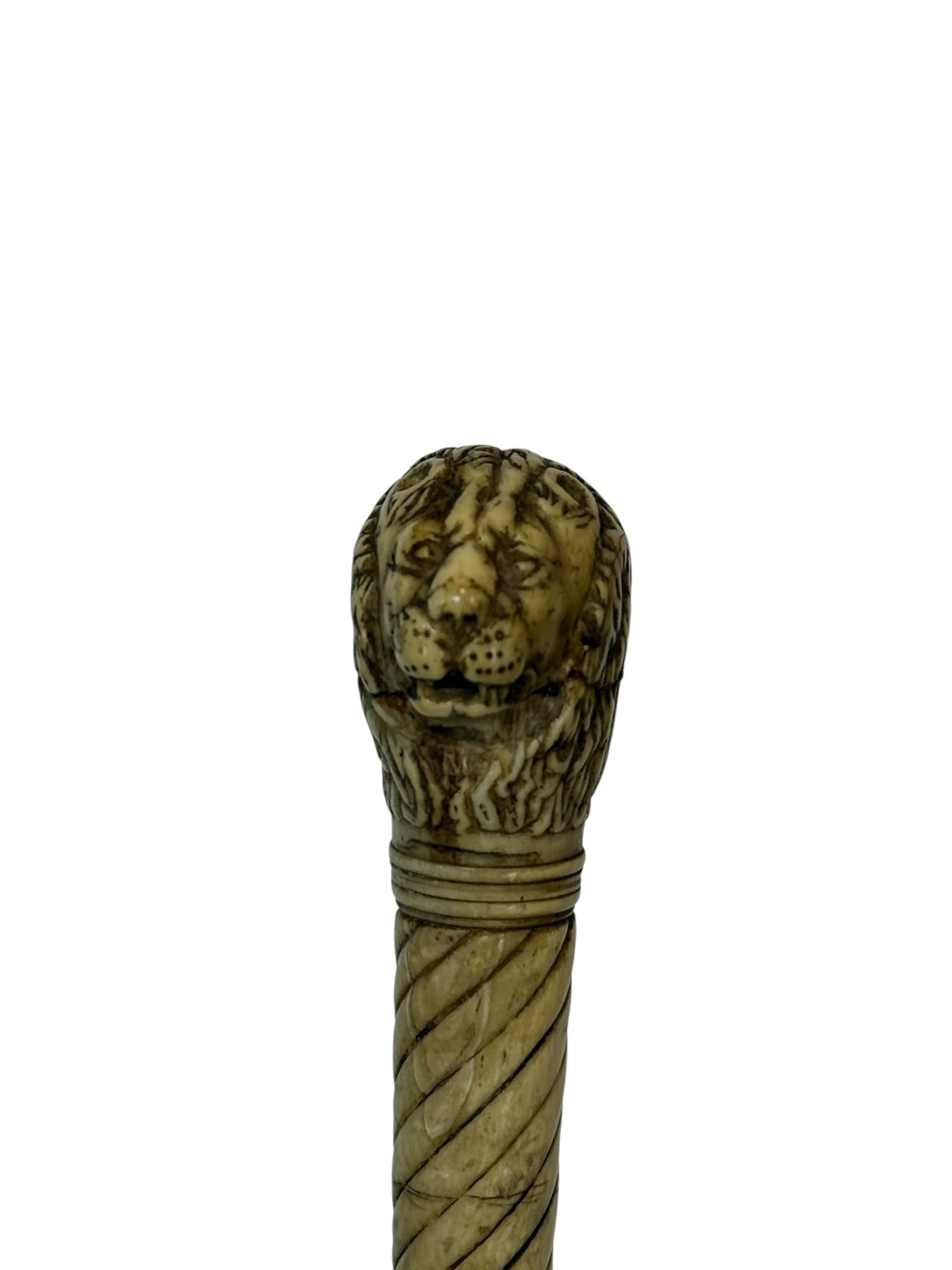 19th Century Carved Bone Lion Head Handle Cane (1 of 7)