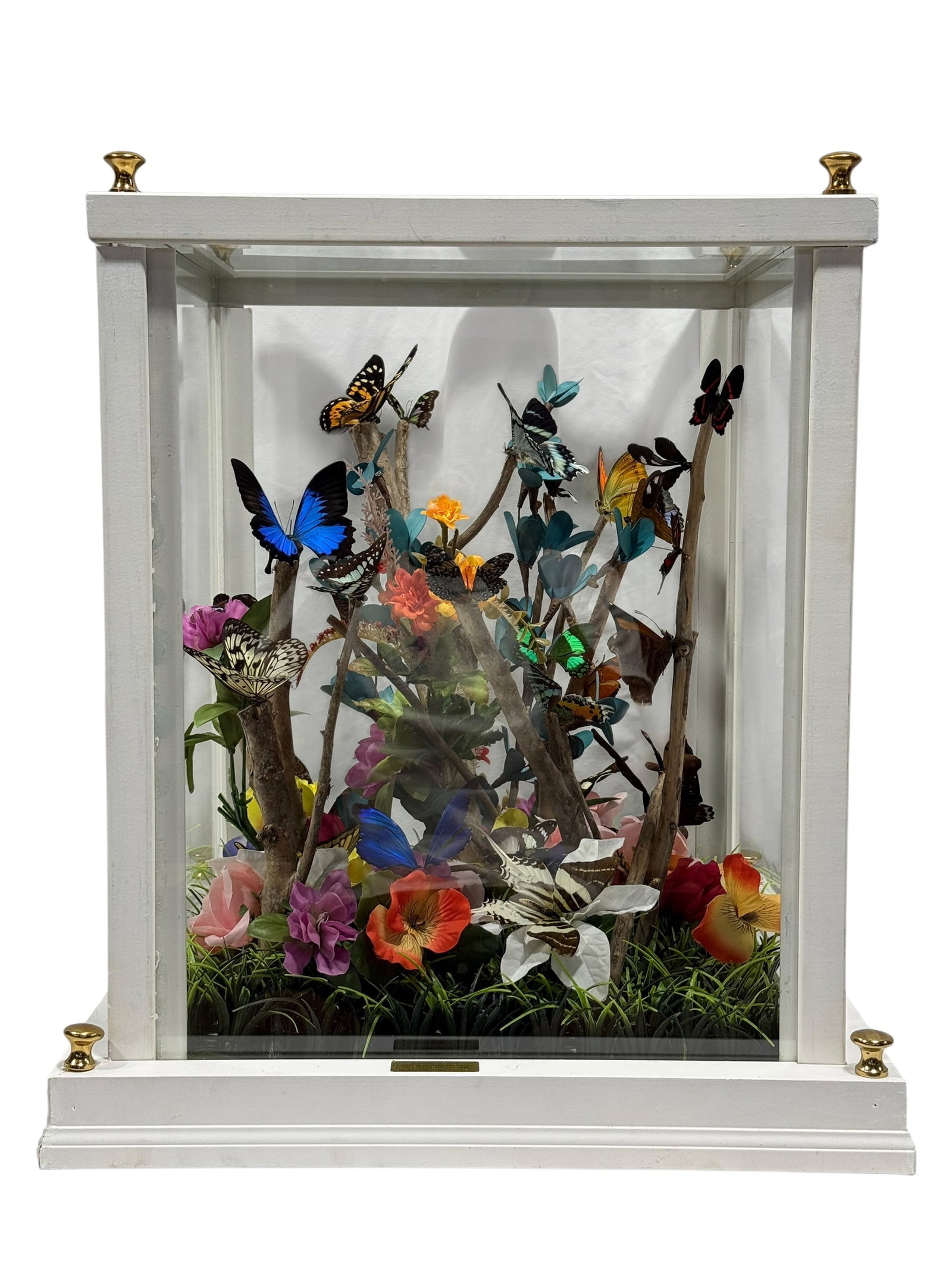 Large Glass Butterfly Specimen Display Case w/ Floral Garden Diorama (1 of 13)