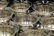 12 Pc. Webster & Co. Sterling Sherberts - 3