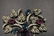 Vintage Art Deco Sterling Floral Brooch - 2