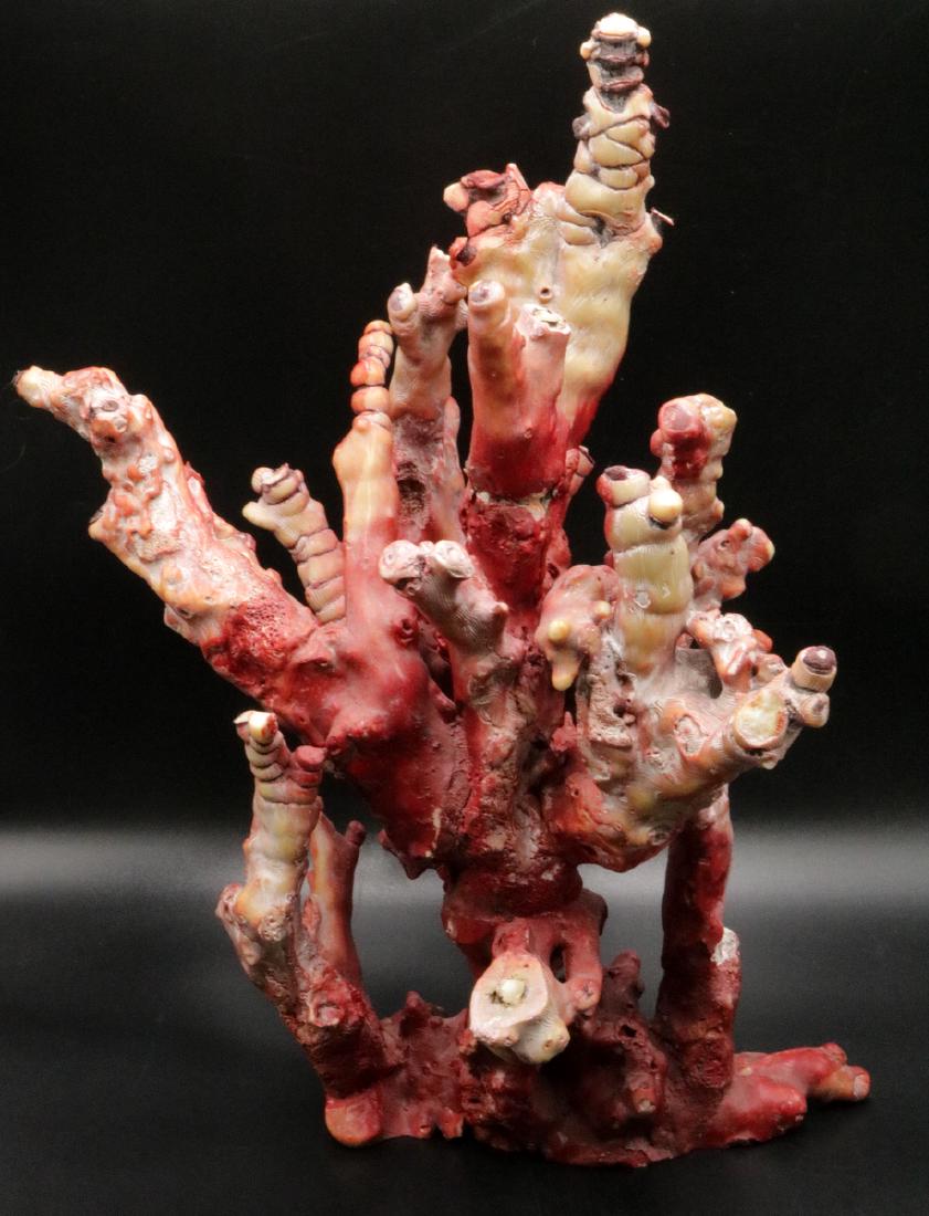Large Natural Free-Form Ox Blood Red Coral (1 of 4)