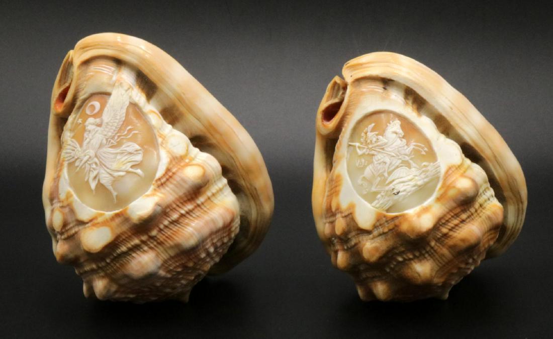 Pair of Cameo Seashells (1 of 3)