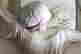 item-120964344=2