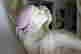 item-120964344=3