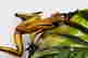 item-120964351=2