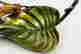 item-120964351=3