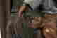 item-121128728=2