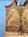 item-132705923=4