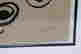 item-134676872=6
