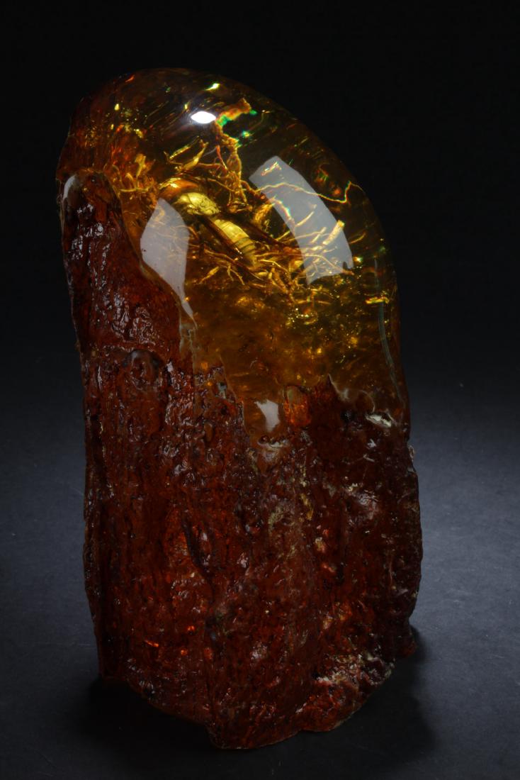 An Estate Hornet Table Fortune Display (1 of 4)