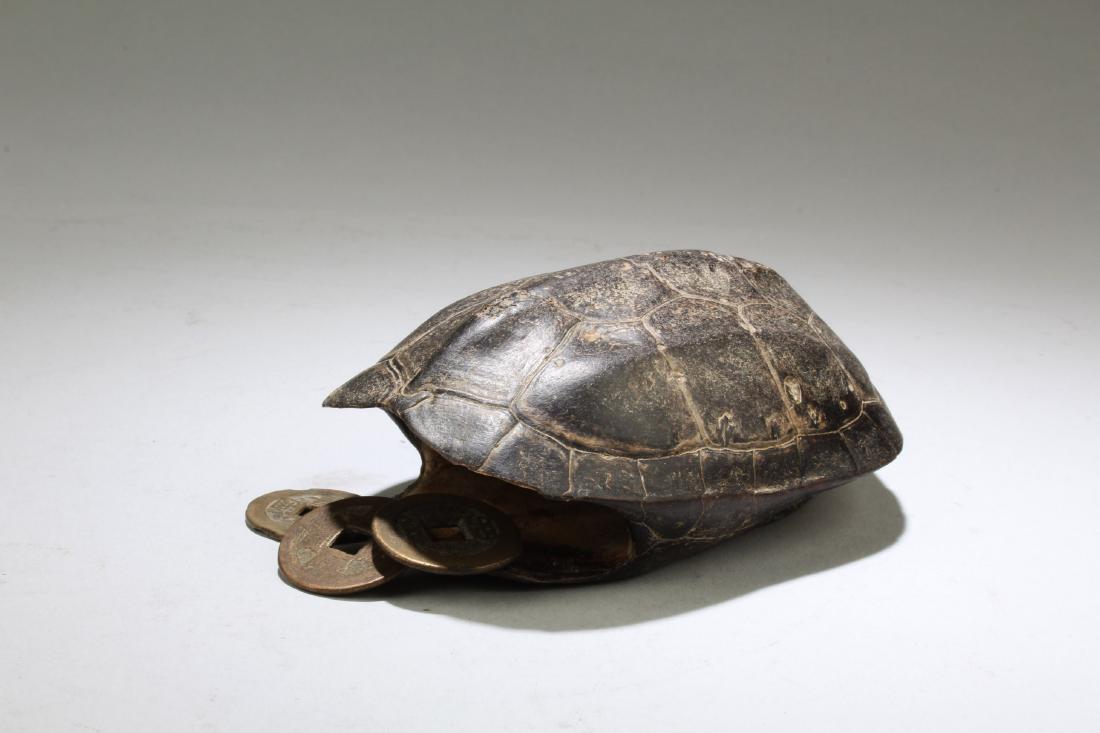 A Chinese Fortune Telling Turtle Shell with Three Coins (1 of 4)