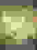 item-66365165=2