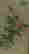item-79465092=2
