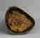 item-101430145=5