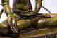 item-109221420=4