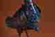 item-110674173=4
