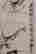 item-112228631=6