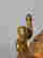 item-116010158=9