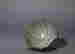 item-116010180=3