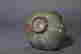 item-116010180=7
