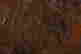 item-116010785=9