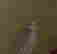 item-118259453=2