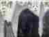 item-119087461=3