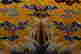 item-119253003=5