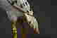 item-120070296=4